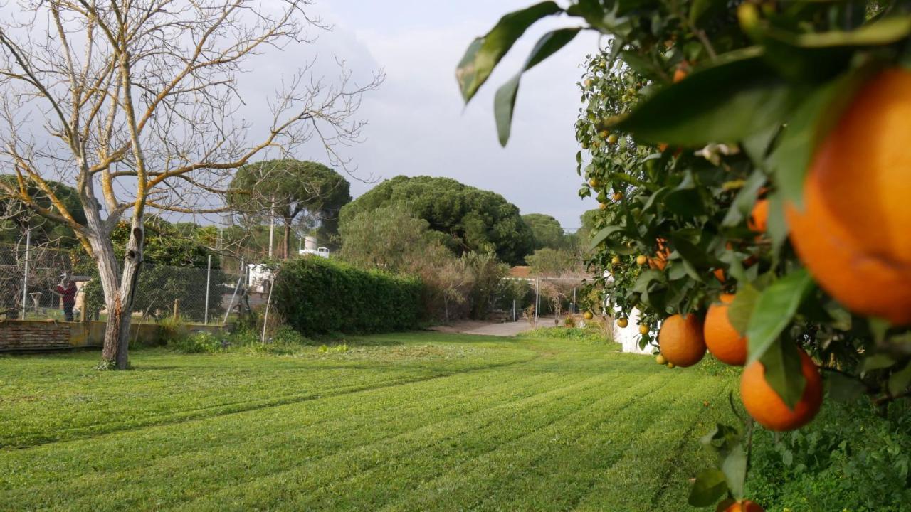 El Alfoli. Casa Rural Cerca Del Mar Aljaraque Exterior photo